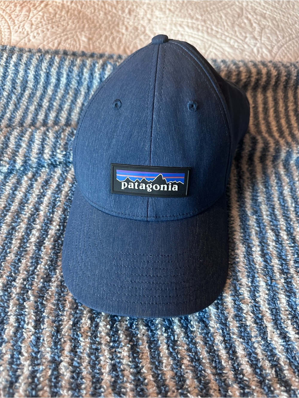 Patagonia Navy Blue Logo Baseball Cap